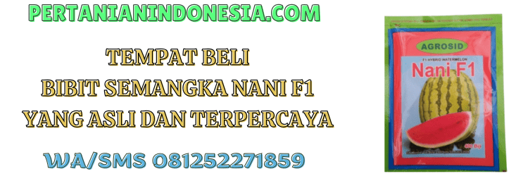 tempat,beli,benih,semangka berbiji,pertanian indonesia